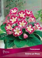 Глоксиния Бланш де Меру (5/6) 1 шт