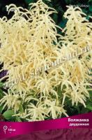 Волжанка двудомная 
