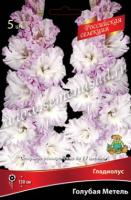 Гладиолус Крупноцветковый Российская селекция  Голубая Метель (12/+) 5 шт