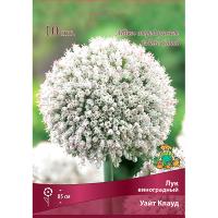 Лук виноградный Уайт Клауд (10шт, 6+) 825783