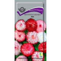 Маргаритка Хабанера Микс 10шт