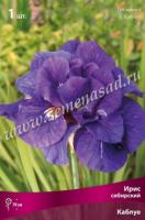 Ирис сибирский Каблуе