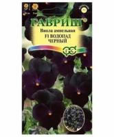 Виола Виттрока Водопад черный F1 4шт