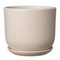 Замша белый бук №3 2,9л