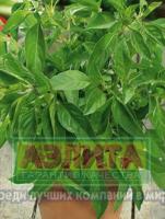 Базилик Балконный 0,2г 