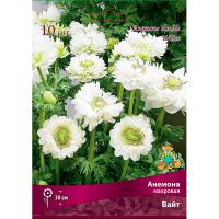 Анемона махровая Вайт (5/6) 10 шт 