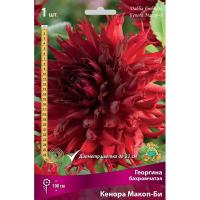 Георгина бахромчатая Кенора Макоп-Би (I) 1 шт