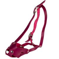 Намордник кожа цельнокроеный Йоркширский Терьер/04015012/Каскад