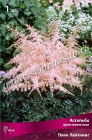 Астильба простолистная Пинк Лайтнинг (I) 1 шт 