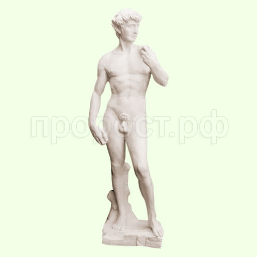 Давид 110х40см  13014