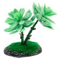 Растение Граптоверия REP15010 150мм Laguna/84045030/