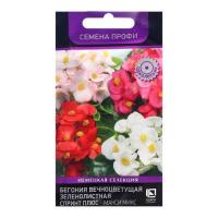 Бегония вечноцветущая зеленолистная Спринт Плюс Макси Микс 10шт
