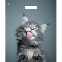 ВУР51801 Пакет 38*45 Кот 1ШТ с выруб. ручкой ПЭ /60шт/500шт/