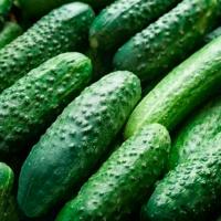 Огурец Альянс Бейо 2640 F1 1000шт