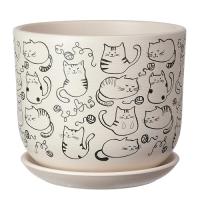 Коты белый бук №3 2,9л