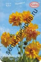 кореопсис золотистый шлейф