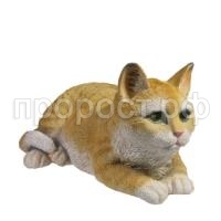 кот рыж кот рыж