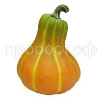 тыква выт