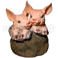 два порос два порос