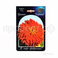 Цинния Кардинал 201 Каприс