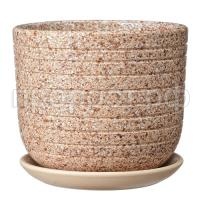 Пряности бежевый бук