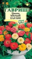цинния милый карлик111 цинния милый карлик111