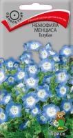 Немофила менциса Голубая Немофила менциса Голубая