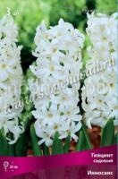 Инносанс Инносанс