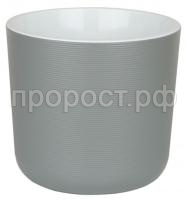 лион серый муссон