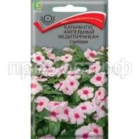 Без названия