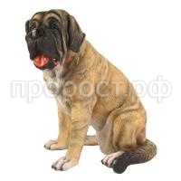 Мастиф беж Мастиф беж