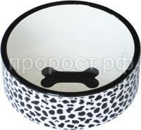 1021680802 1021680802