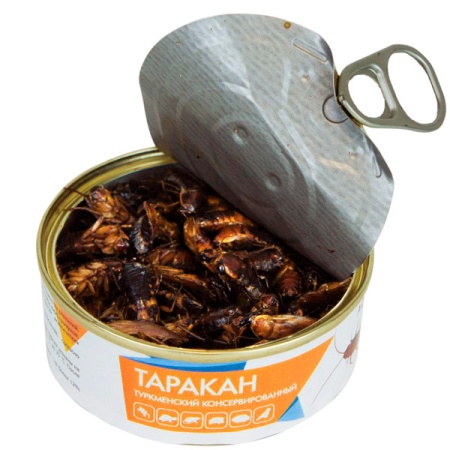 Консервированный Туркменский таракан 40гр
