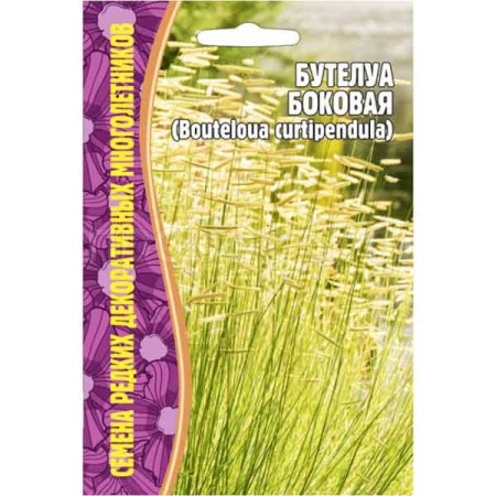 Бутелуа боковая (Bouteloua curtipendula) 0,1г