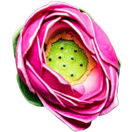 Плав.цветок Лотос 62715