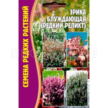 Эрика блуждающая (редкий реликт) 15 шт