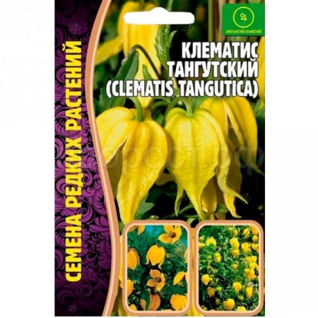 Клематис Тангутский (Clematis tangutica) 10шт